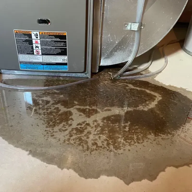 Appliance Leak Cleanup in Weigelstown, PA